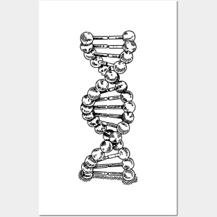 DNA Strand Helix Genetics Life Sciences Biology Posters and Art